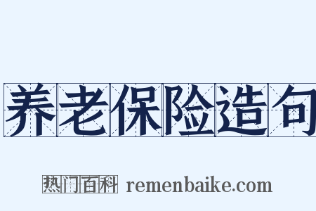 养老保险造句是什么意思的图片